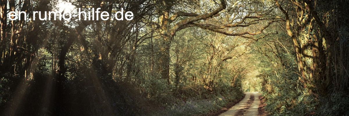 en.rumo-hilfe.de
